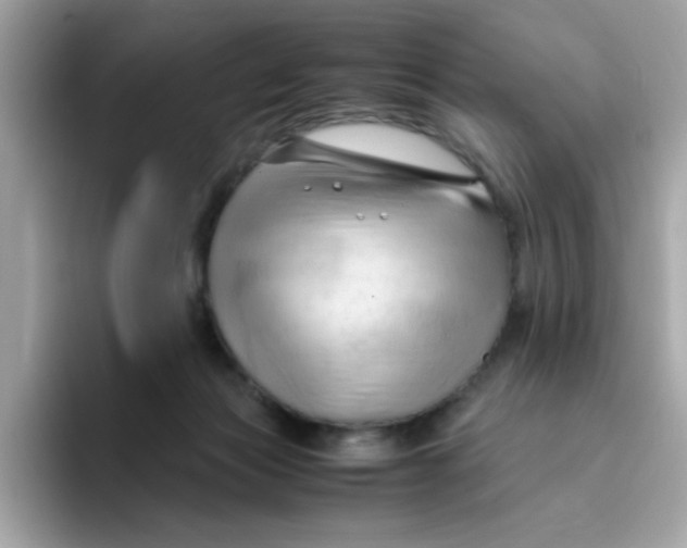 X0000096460173200802141539