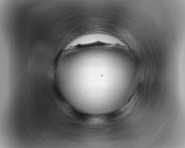 X0000096460175200802141539