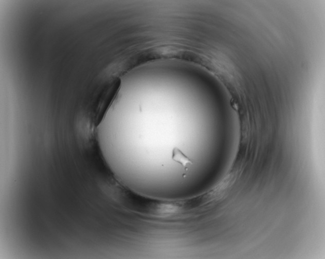 X0000096460176200802141539