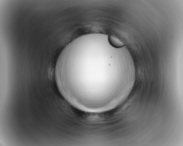 X0000096460177200802141539
