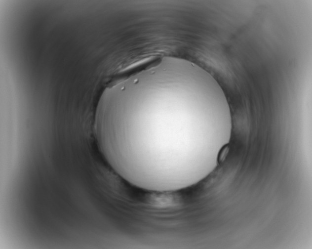X0000096460181200802141539