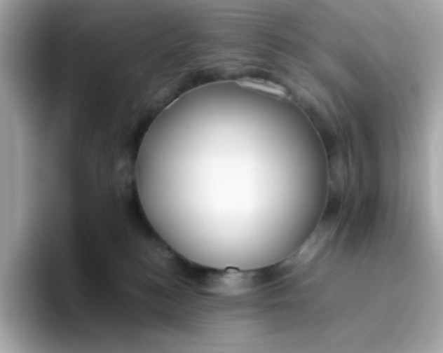 X0000096460184200802141539