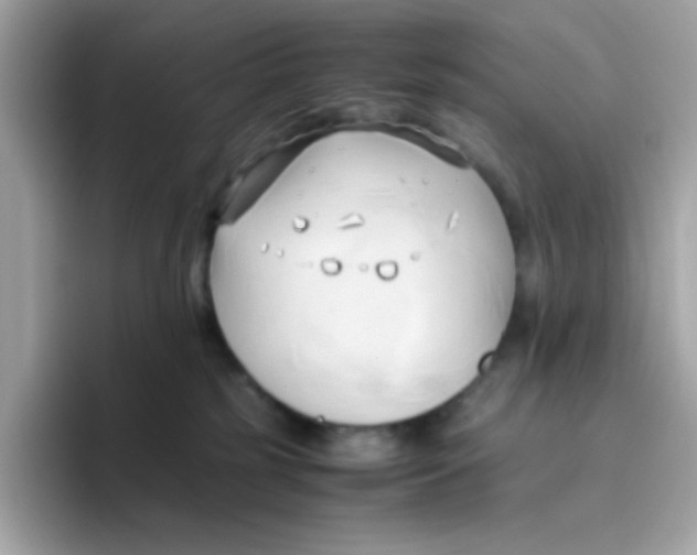 X0000096460185200802141539