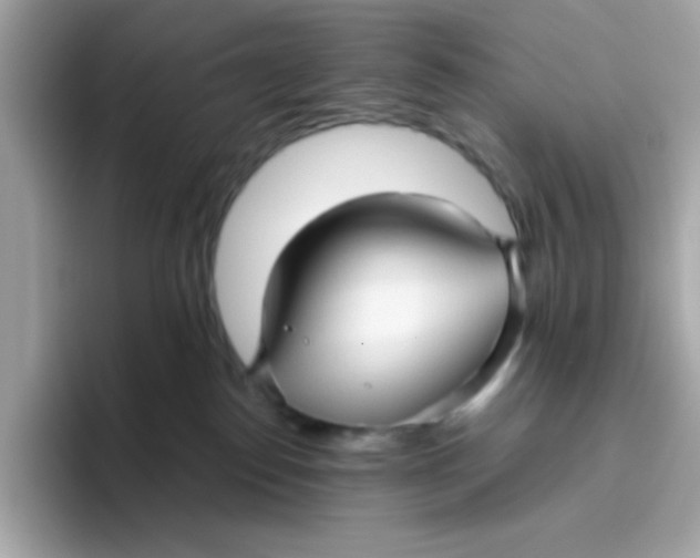 X0000096460186200802141539