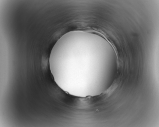 X0000096460188200802141539