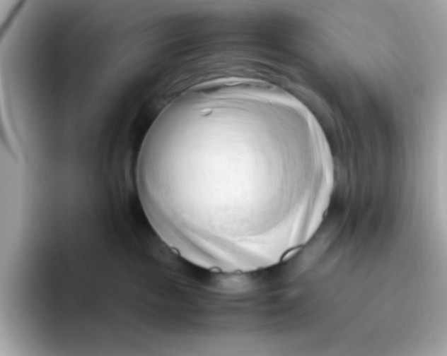 X0000096460189200802141539