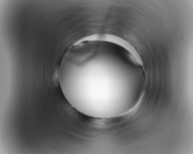 X0000096460190200802141539