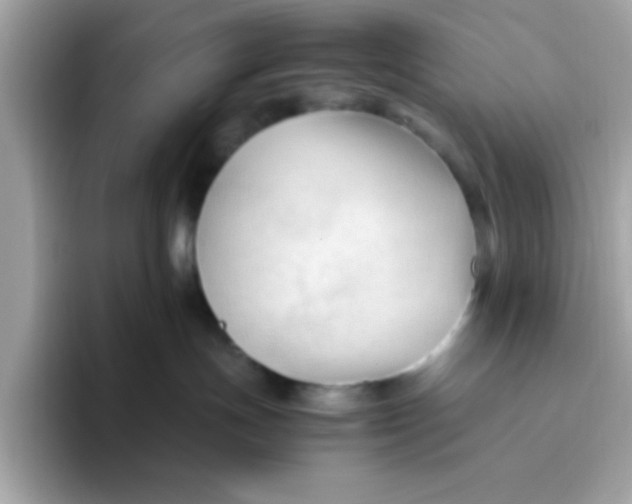 X0000096460191200802141539