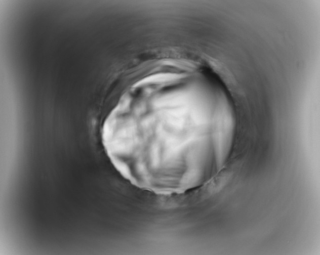 X0000096460192200802141539