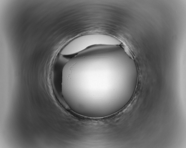 X0000096460193200802141539