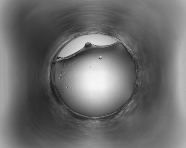 X0000096460194200802141539