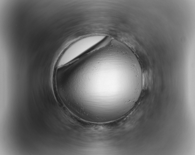 X0000096460195200802141539