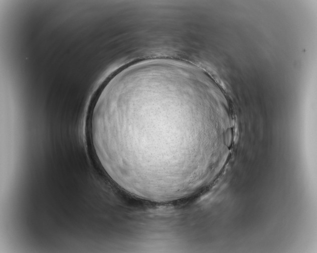 X0000096460196200802141539