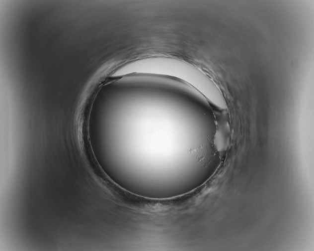 X0000096460197200802141539