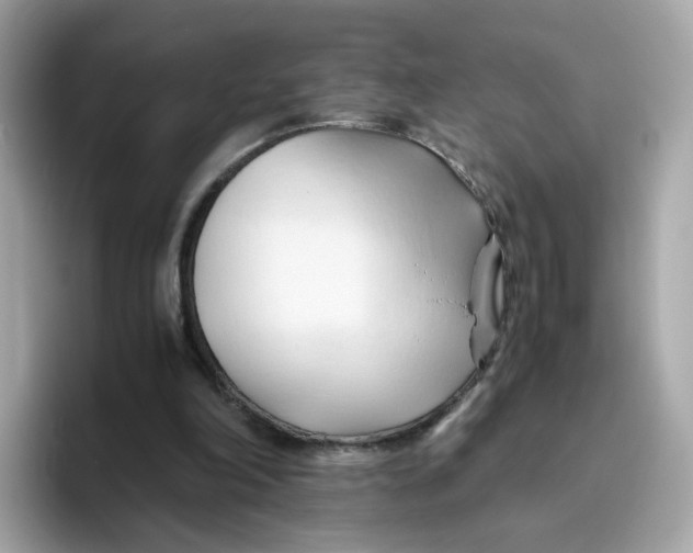 X0000096460198200802141539