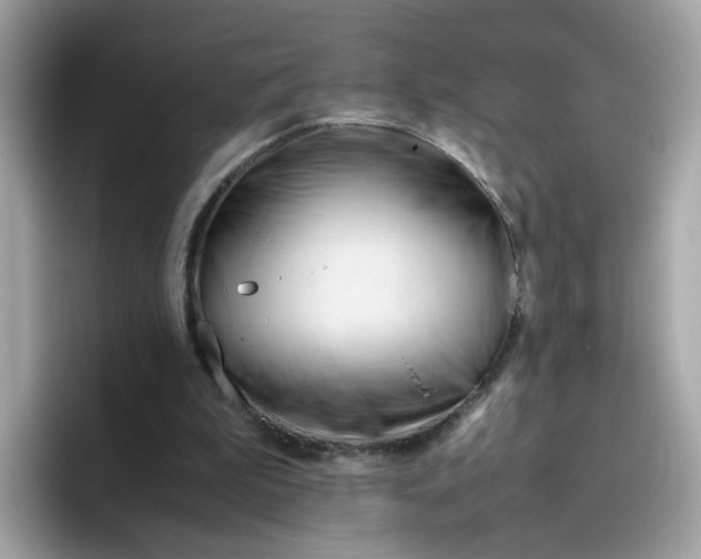 X0000096460199200802141539