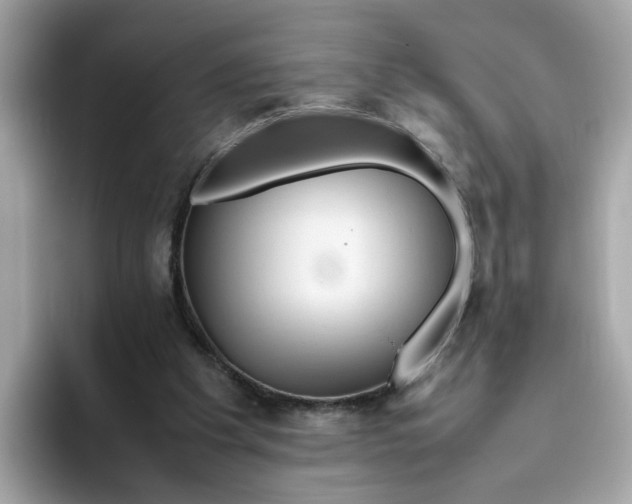 X0000096460201200802141539