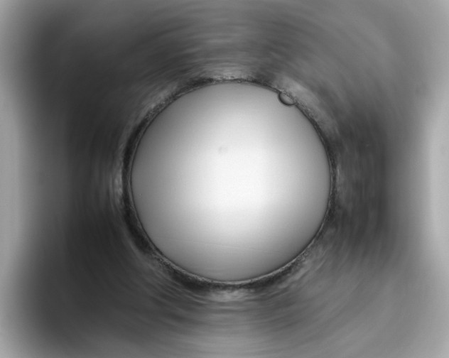 X0000096460202200802141539