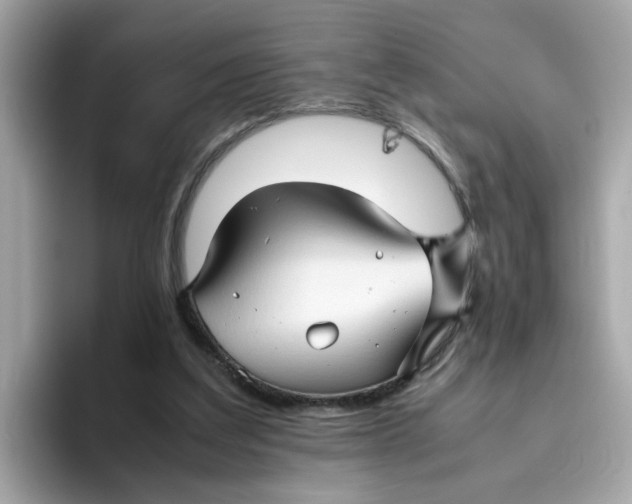 X0000096460203200802141539