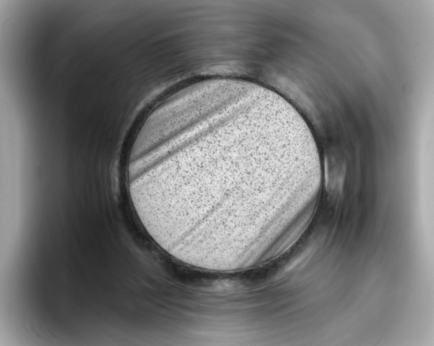 X0000096460204200802141539