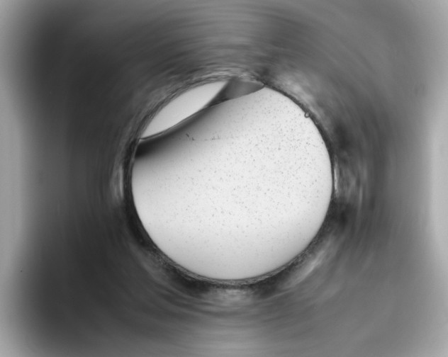 X0000096460205200802141539