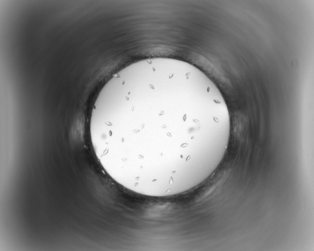 X0000096460206200802141539