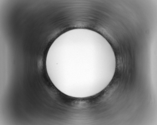 X0000096460208200802141539
