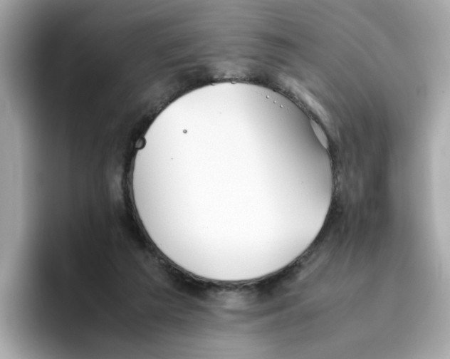 X0000096460209200802141539