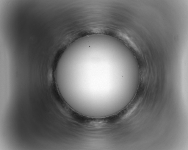 X0000096460213200802141539