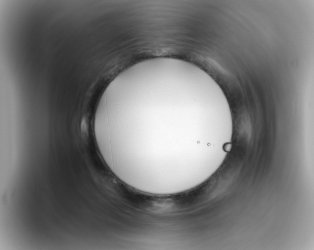 X0000096460214200802141539