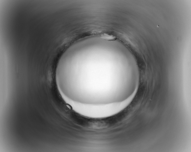 X0000096460215200802141539