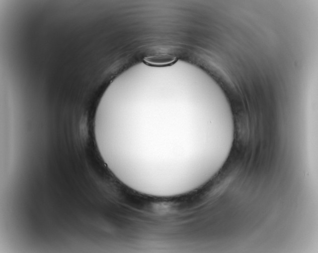 X0000096460216200802141539