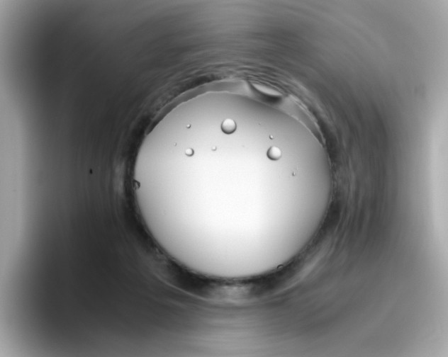 X0000096460217200802141539