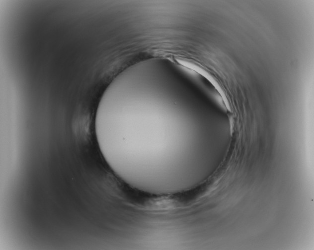 X0000096460219200802141538