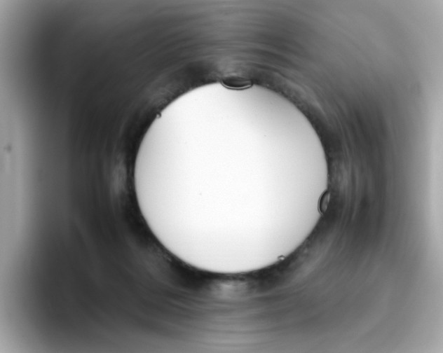 X0000096460220200802141538