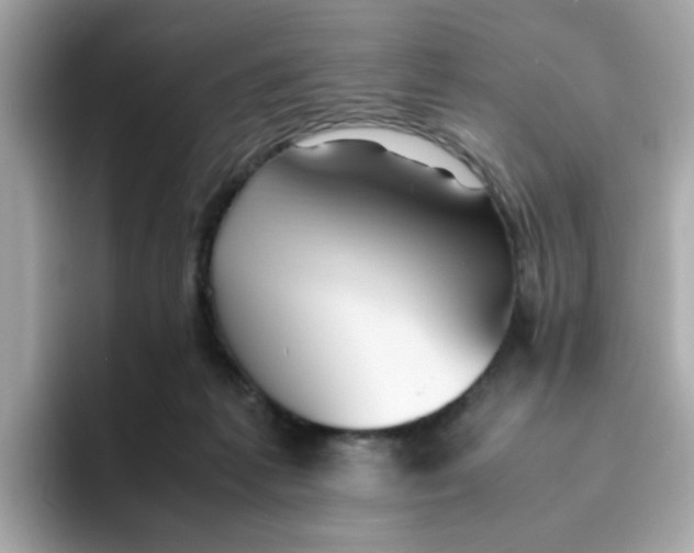 X0000096460221200802141538