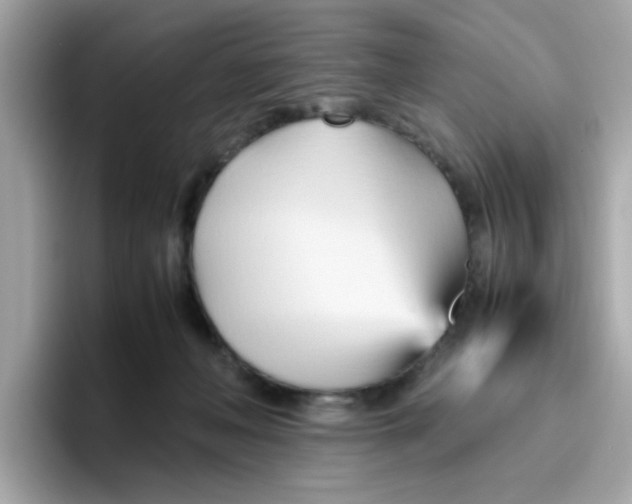 X0000096460222200802141538