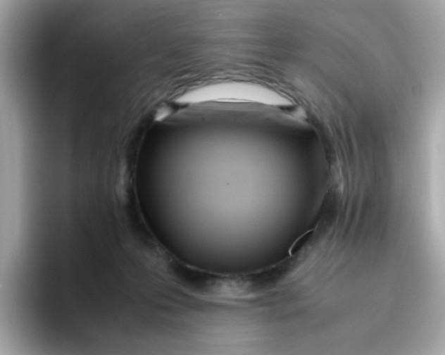 X0000096460223200802141538