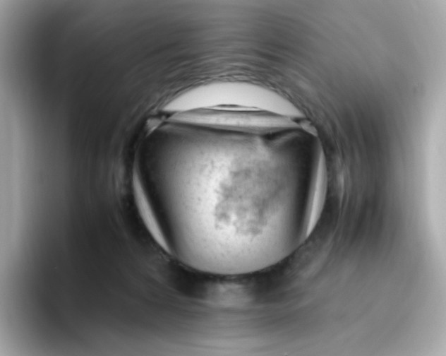 X0000096460224200802141538
