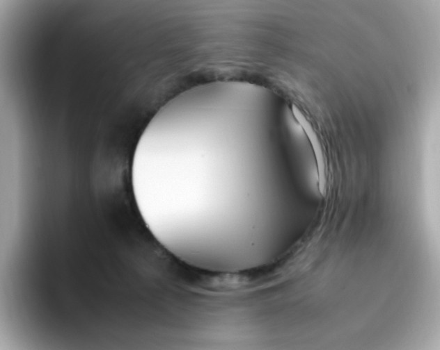 X0000096460225200802141538