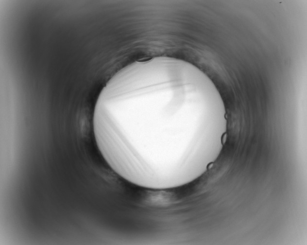 X0000096460226200802141538
