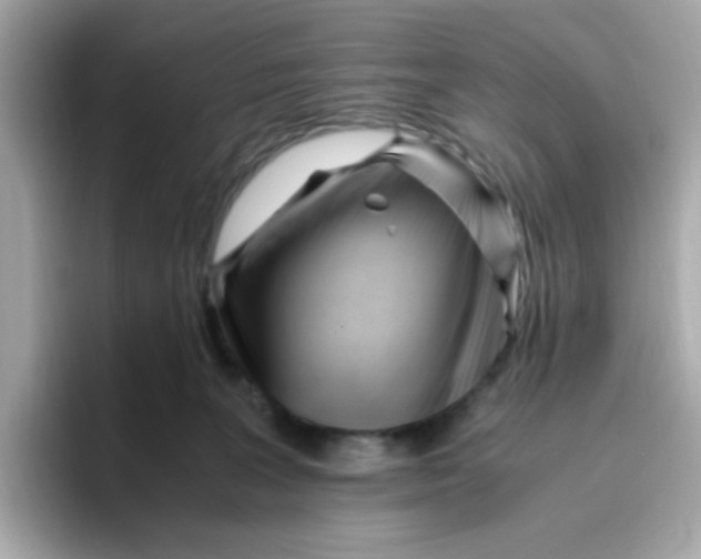 X0000096460227200802141538