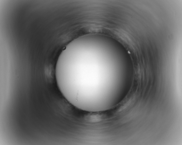 X0000096460228200802141538