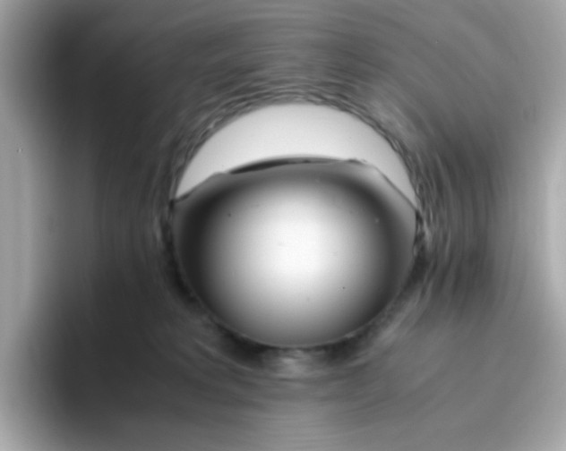 X0000096460229200802141538