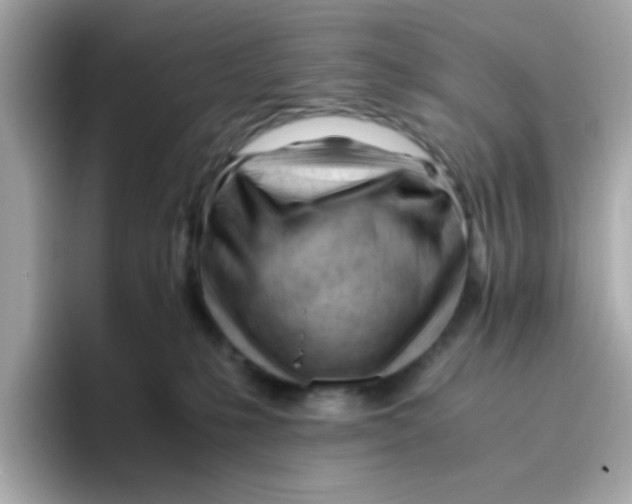 X0000096460231200802141538