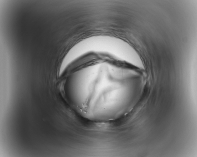 X0000096460233200802141538