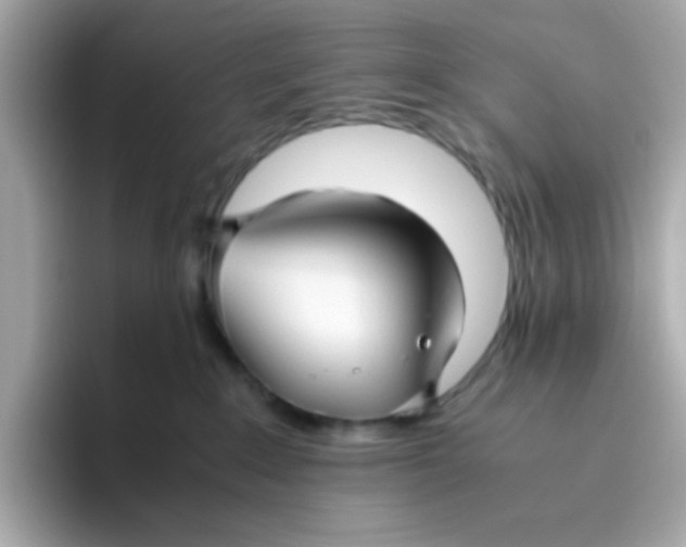 X0000096460235200802141538