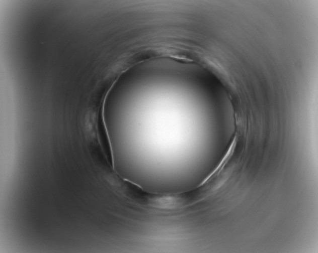 X0000096460237200802141538