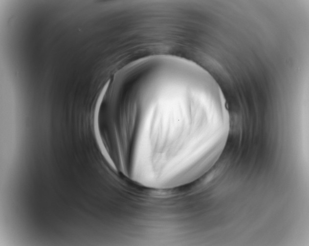 X0000096460238200802141538