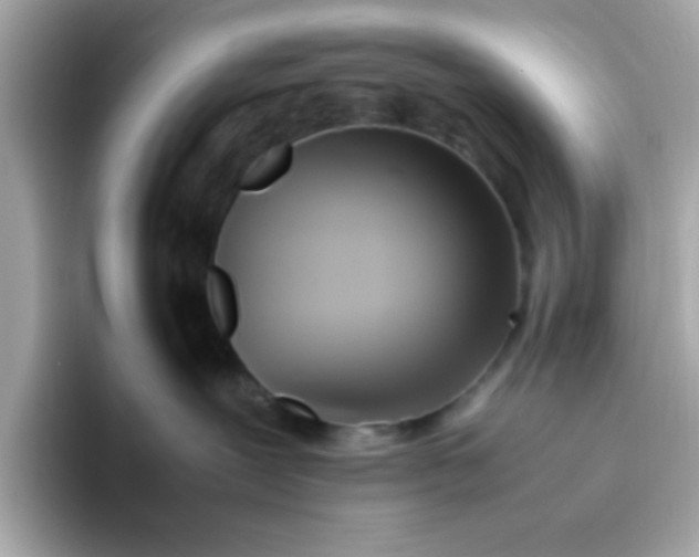 X0000096460239200802141538